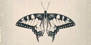 Axial Symmetry in nature butterfly